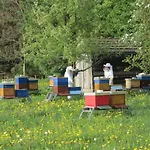 Dom wakacyjny Kleine Paradies Purgen