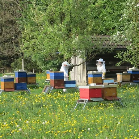 Dom wakacyjny Kleine Paradies Purgen